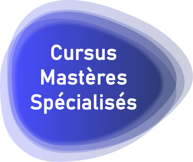 Cursus Mastères Spécialisés
